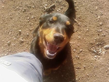 aria morte de rire lol