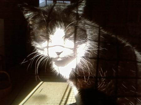 papy qui fait bronzette devant la fenetre