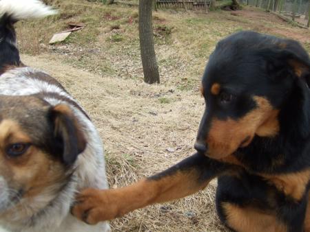 casse toi cest moi sur la photo!