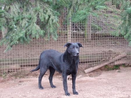 douchka manifique cette photo