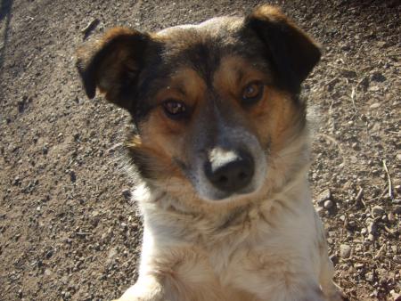 bandi (un amour!!!!)