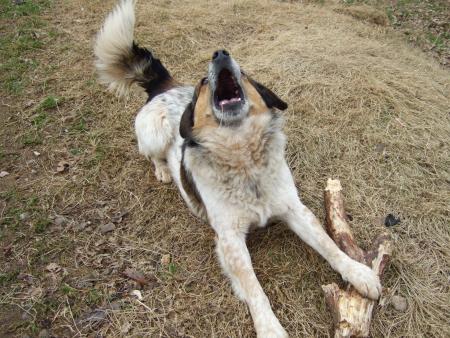 ha ha ha ha haaaaatchouume