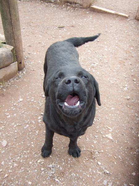 valdo ta une bouche bisar ou tu chante ? hihi