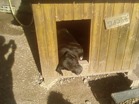 on voit que le soleil revient...