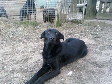 bianca une grande histoire...