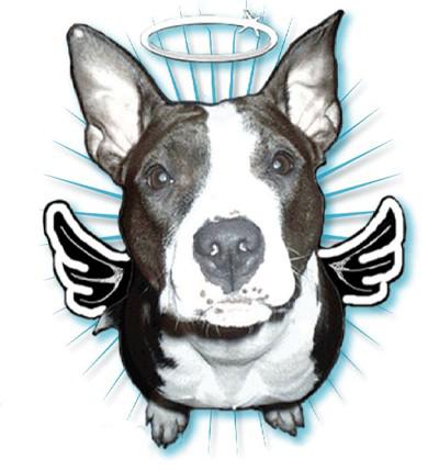 nos molosses on les aimes!!!