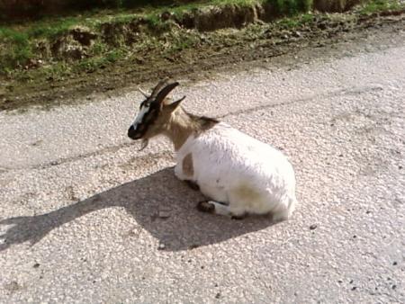 charlotte a dessid� de bloquer le passage