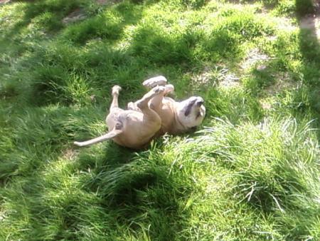 hannibal qui pete les plons hihi