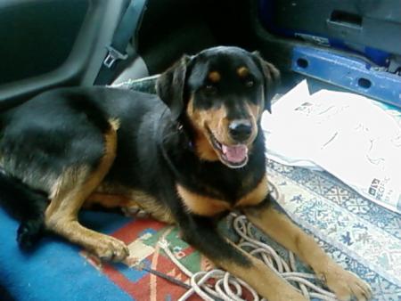 petite visite d'aria... :-)