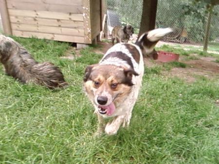 bandi en plaine course lol