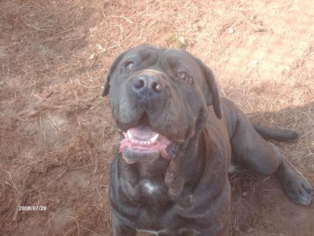 vulcane ( matin de naple )