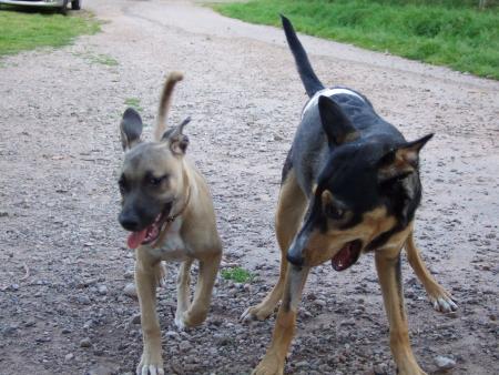 nicotine et ficelle qui jouent