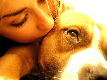 Fondation Brigitte Bardot