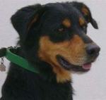 histoire qui fout la heine