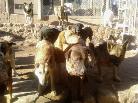 mymy norbert higord nado